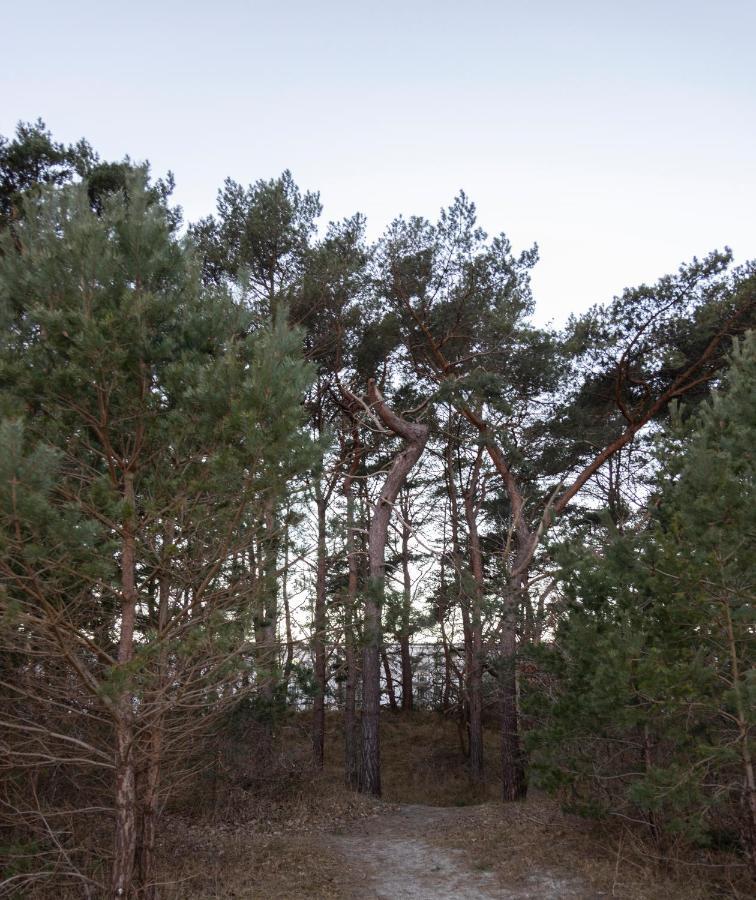Luxus-Maisonette für die große Familie mit direktem Strandzugang Binz Exterior foto